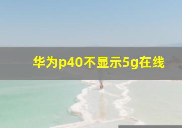 华为p40不显示5g在线