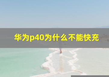 华为p40为什么不能快充