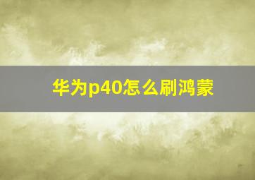 华为p40怎么刷鸿蒙