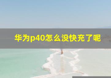 华为p40怎么没快充了呢