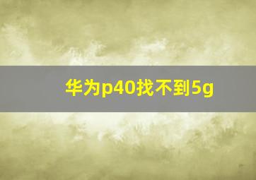 华为p40找不到5g