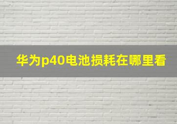 华为p40电池损耗在哪里看