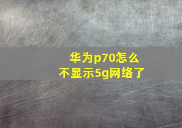 华为p70怎么不显示5g网络了