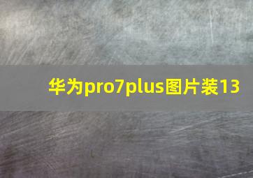 华为pro7plus图片装13