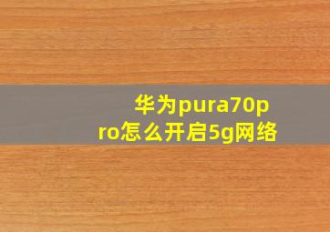 华为pura70pro怎么开启5g网络