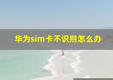 华为sim卡不识别怎么办