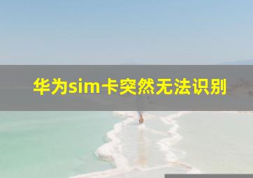 华为sim卡突然无法识别