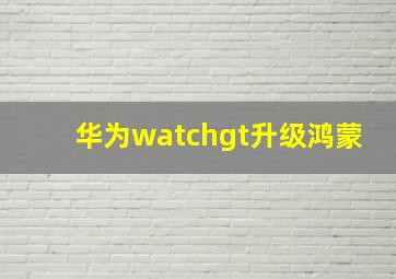 华为watchgt升级鸿蒙