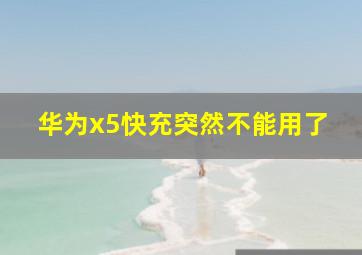 华为x5快充突然不能用了