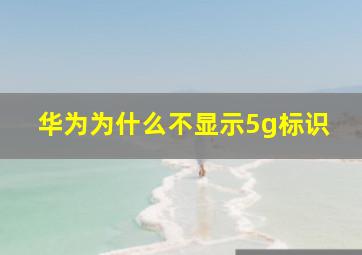 华为为什么不显示5g标识