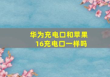 华为充电口和苹果16充电口一样吗