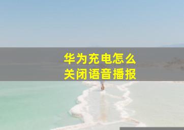 华为充电怎么关闭语音播报