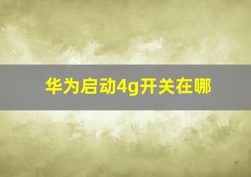 华为启动4g开关在哪