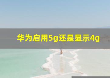 华为启用5g还是显示4g