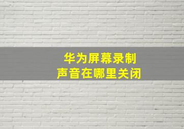 华为屏幕录制声音在哪里关闭