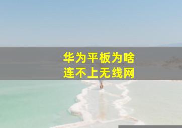 华为平板为啥连不上无线网