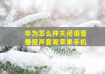 华为怎么样关闭语音播报声音呢苹果手机