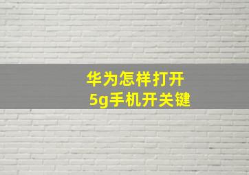 华为怎样打开5g手机开关键