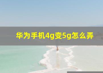 华为手机4g变5g怎么弄