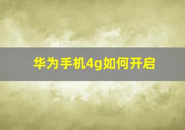 华为手机4g如何开启