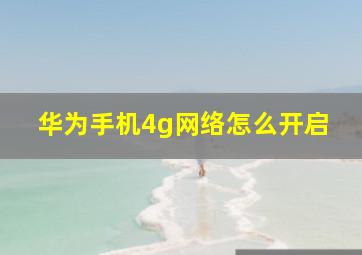 华为手机4g网络怎么开启