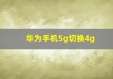 华为手机5g切换4g