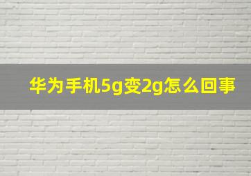 华为手机5g变2g怎么回事