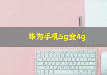 华为手机5g变4g