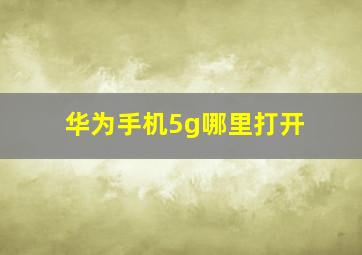 华为手机5g哪里打开