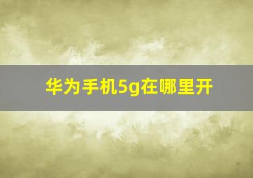 华为手机5g在哪里开