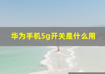 华为手机5g开关是什么用