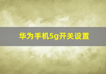 华为手机5g开关设置