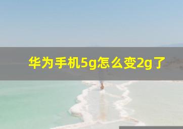 华为手机5g怎么变2g了