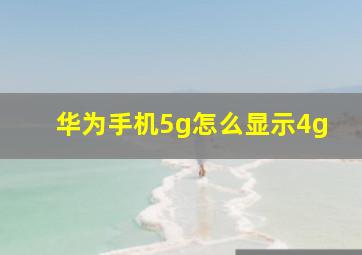 华为手机5g怎么显示4g