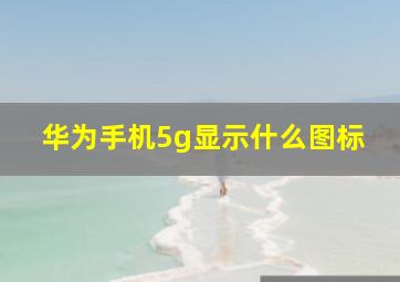 华为手机5g显示什么图标