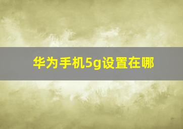 华为手机5g设置在哪