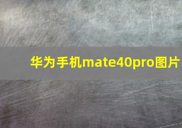 华为手机mate40pro图片