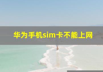 华为手机sim卡不能上网