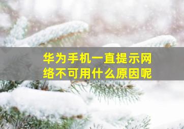 华为手机一直提示网络不可用什么原因呢