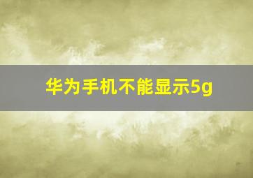 华为手机不能显示5g