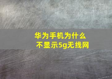 华为手机为什么不显示5g无线网