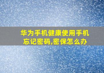 华为手机健康使用手机忘记密码,密保怎么办