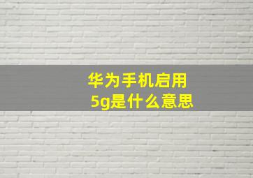 华为手机启用5g是什么意思