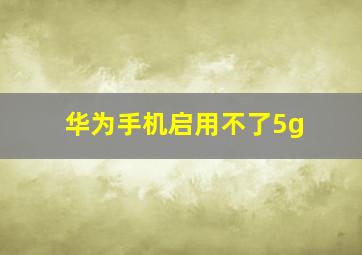 华为手机启用不了5g