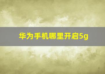 华为手机哪里开启5g