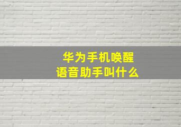 华为手机唤醒语音助手叫什么