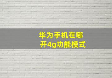 华为手机在哪开4g功能模式