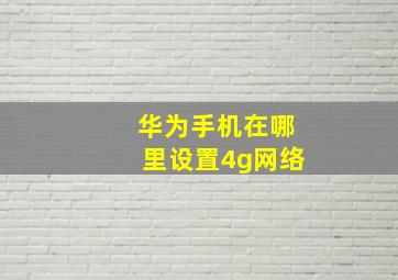 华为手机在哪里设置4g网络