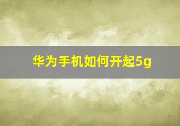 华为手机如何开起5g