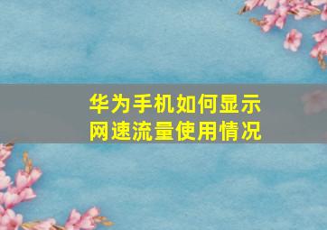 华为手机如何显示网速流量使用情况